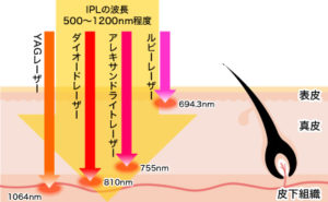 光の波長