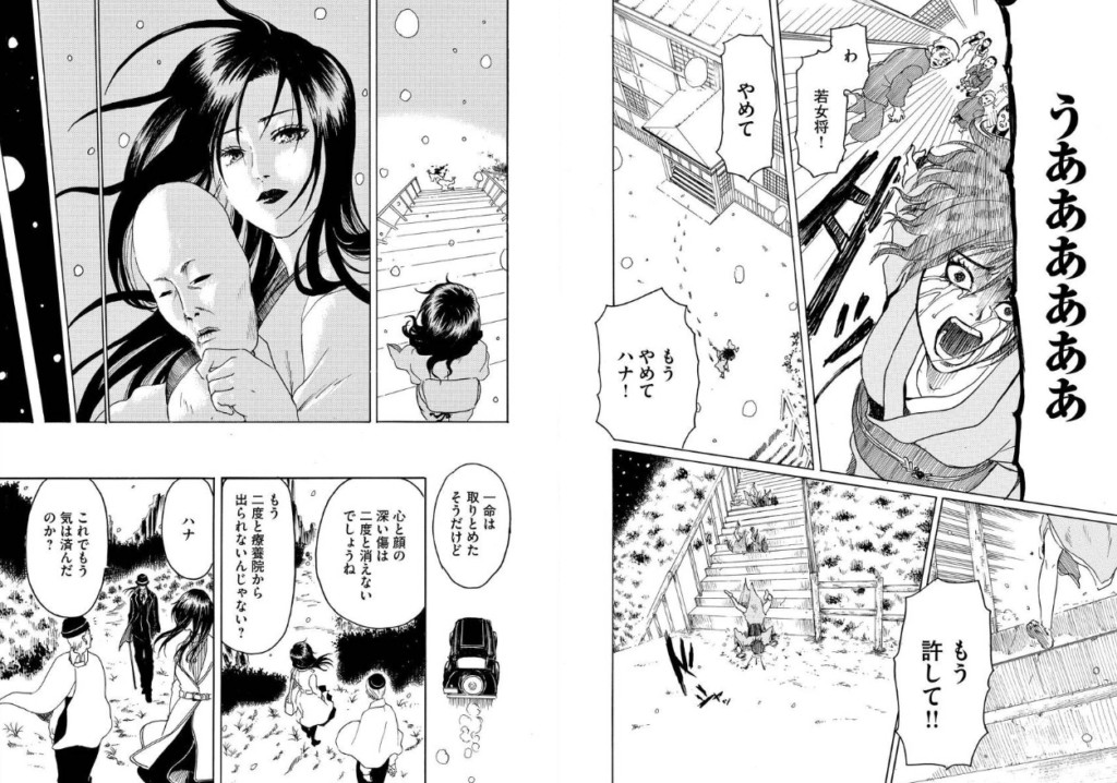 美醜の大地~復讐のために顔を捨てた女